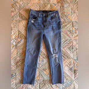 Judy Blue Skinny Blue Jeans with Classic Denim Style